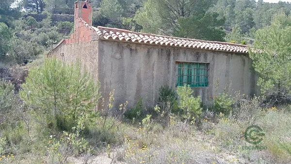 Spot image