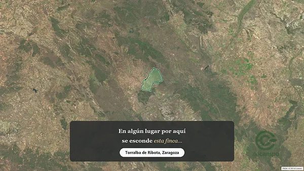Spot image