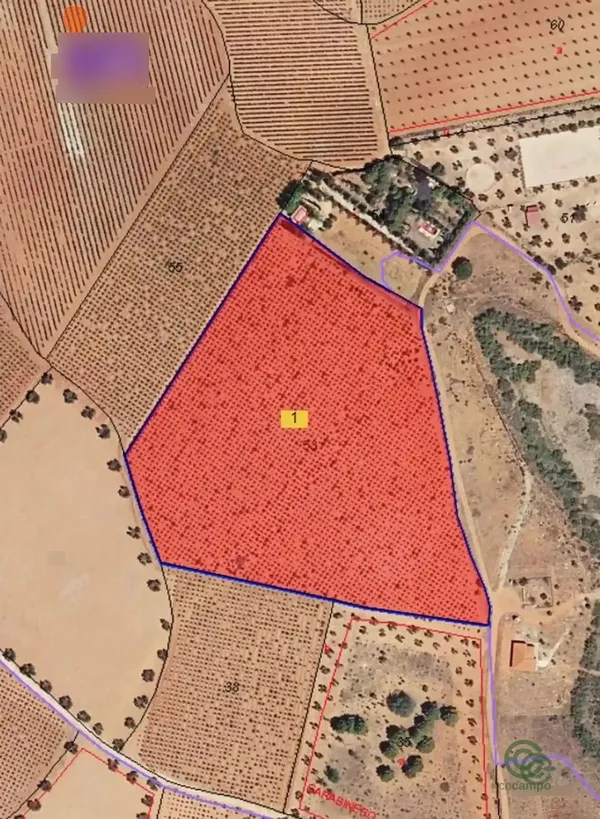Spot image