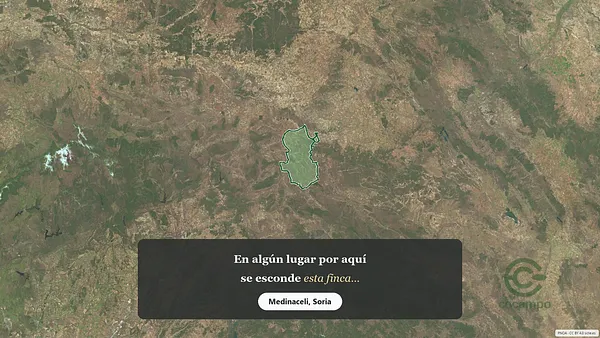 Spot image