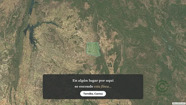 Spot image