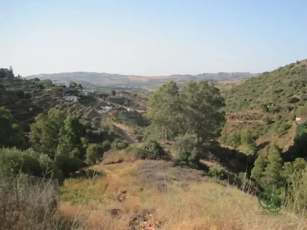 Spot image