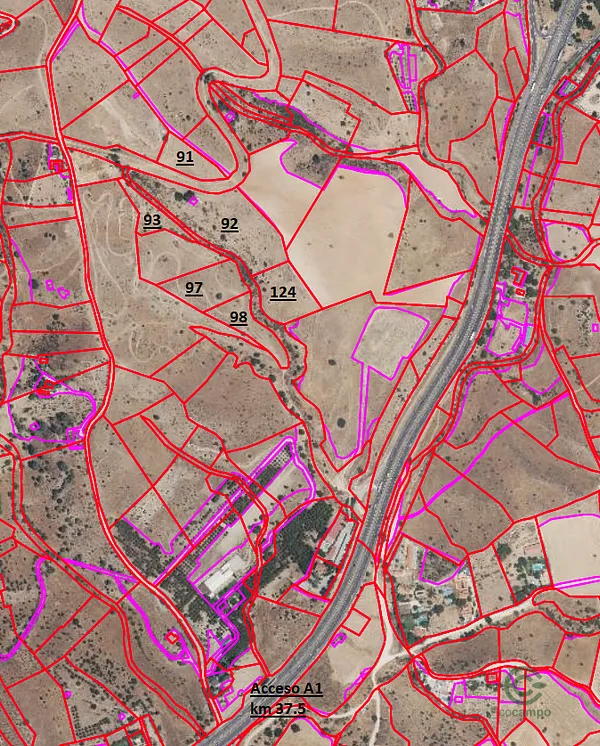 Spot image