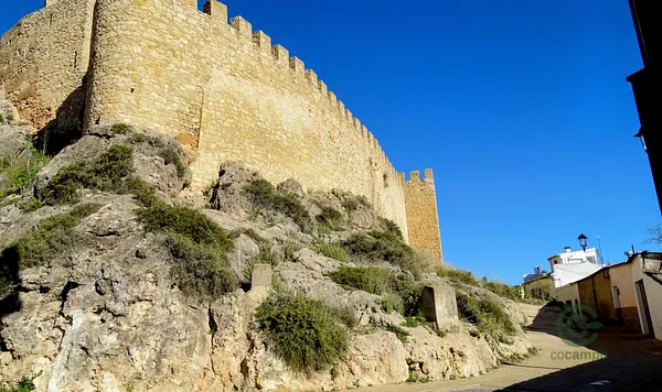 Spot image