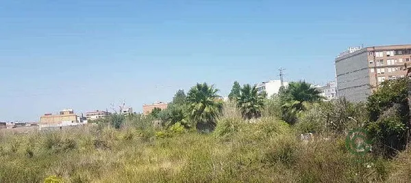Spot image