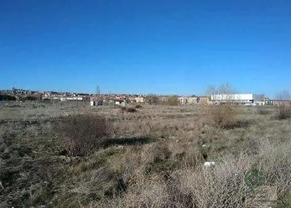 Spot image