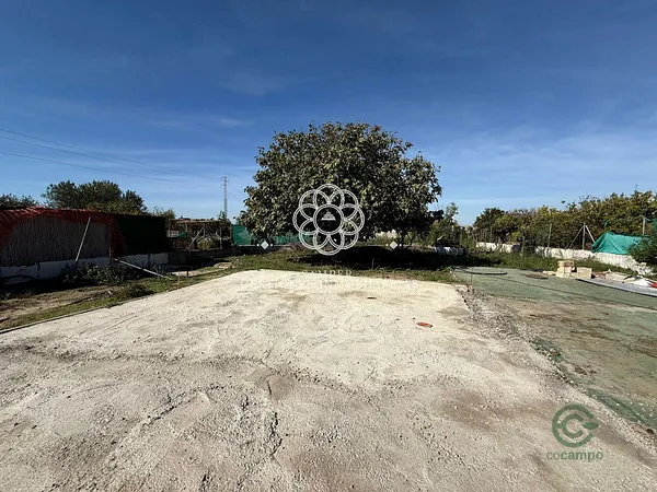 Spot image