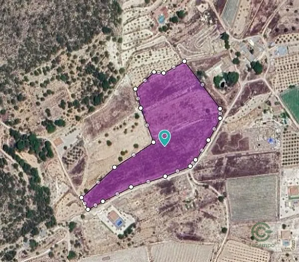 Spot image