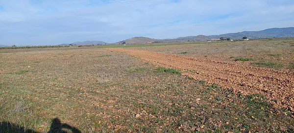 Finca agrícola de 10 ha en venta en Fuente el fresno, Ciudad real