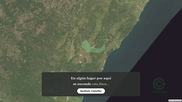 Spot image