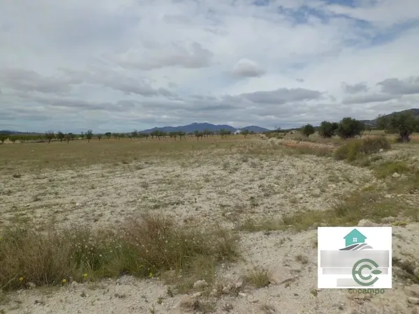 Spot image