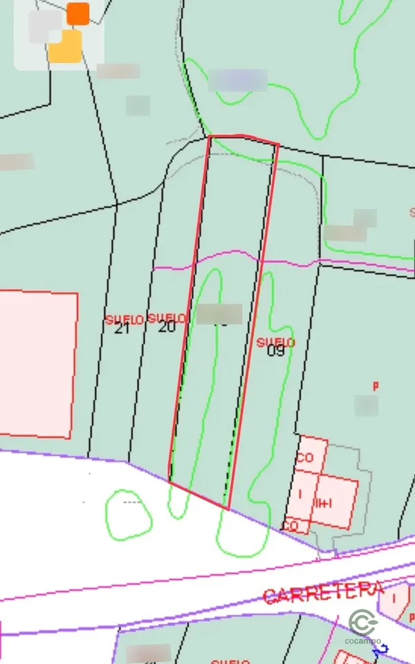 Spot image
