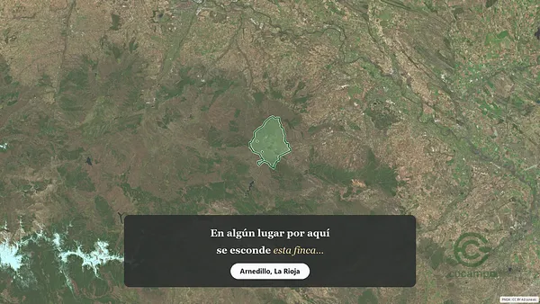 Spot image