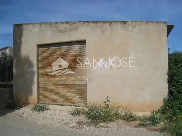 Spot image