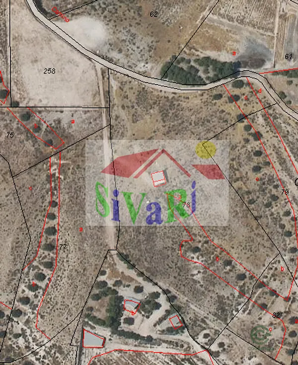 Spot image
