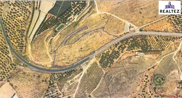 Spot image