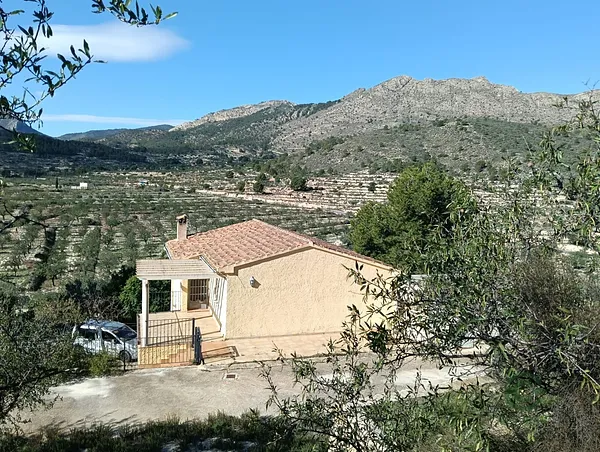 Spot image