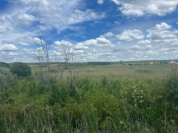 Finca rústica de 0,07 ha en venta en Almanza, León