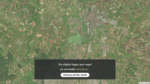 Spot image