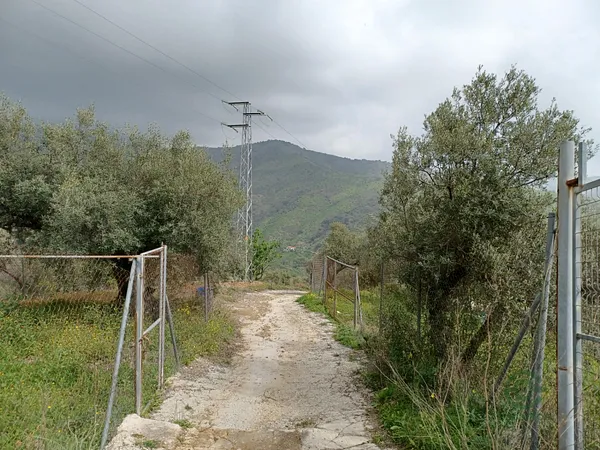 Spot image