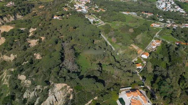 Spot image
