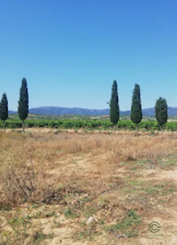 Finca agrícola de 0,4 ha en venta en Zaragoza