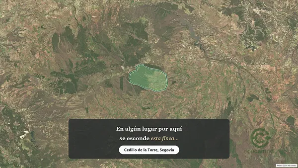 Spot image