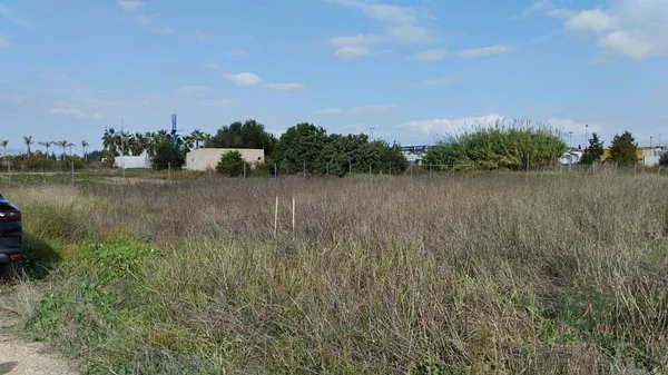 Spot image