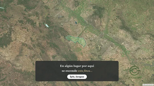 Spot image
