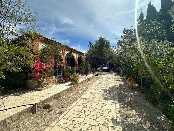 Spot image