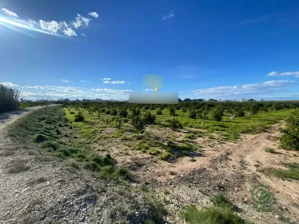 Spot image