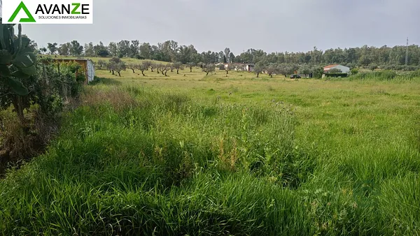 Spot image