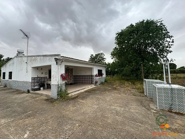 Spot image