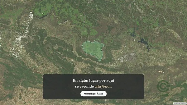 Spot image