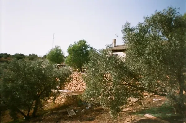 Spot image