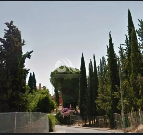 Spot image