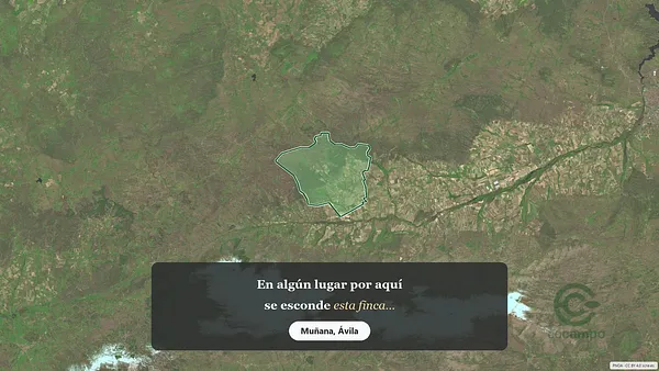 Spot image