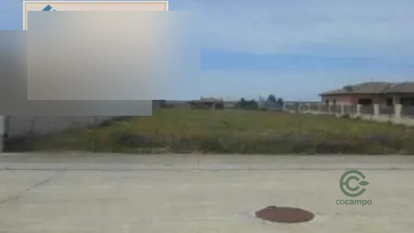 Spot image