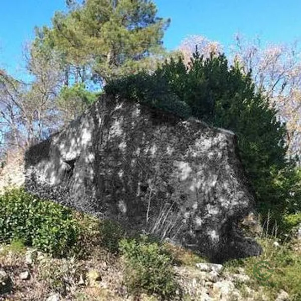 Spot image
