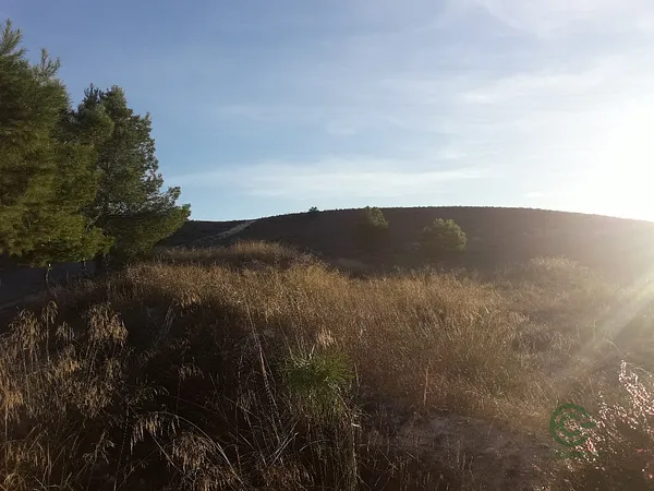 Spot image