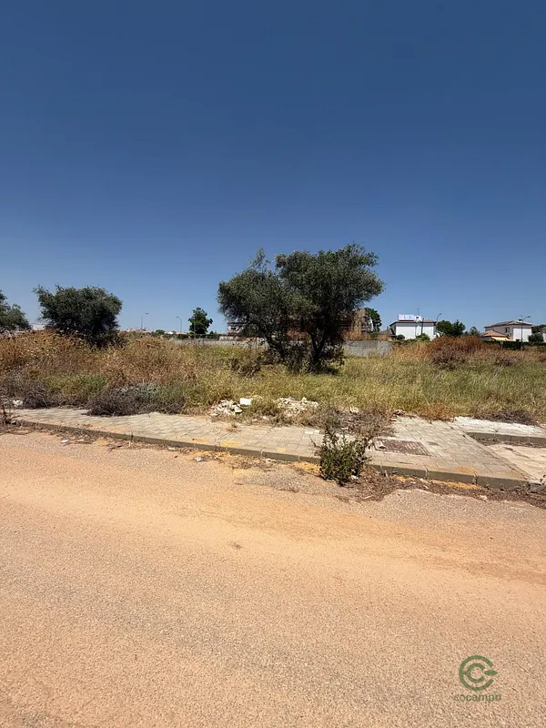 Spot image