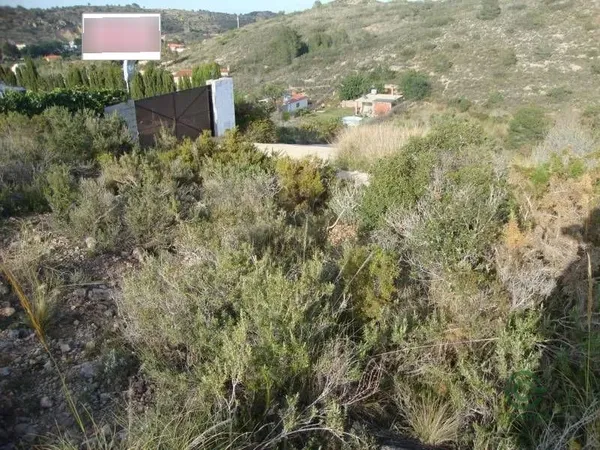 Spot image