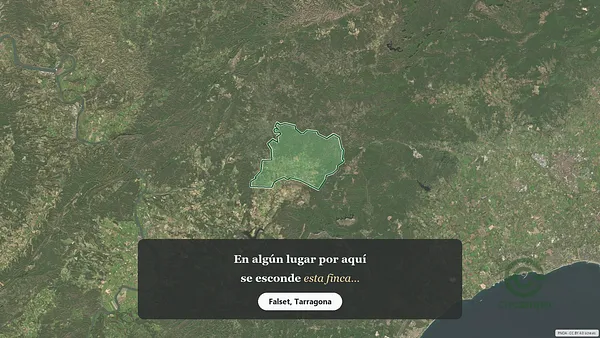 Spot image