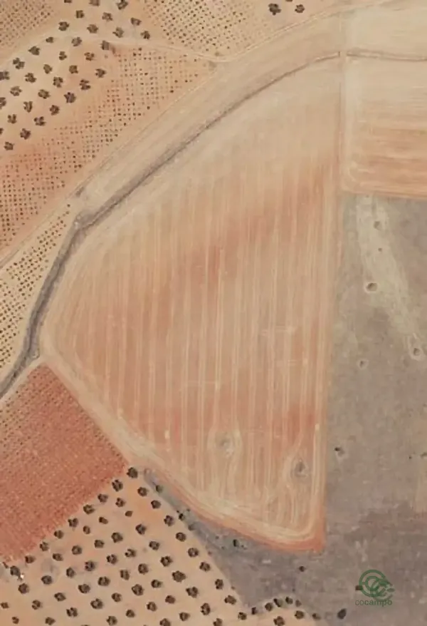 Spot image