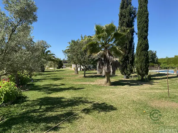 Finca rústica de 5,03 ha en venta en Jerez de la frontera, Cádiz