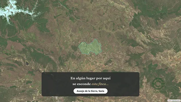 Spot image