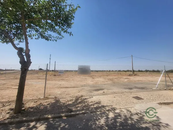 Spot image