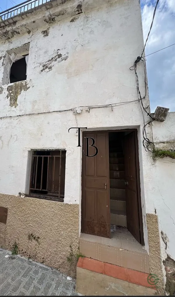 Spot image