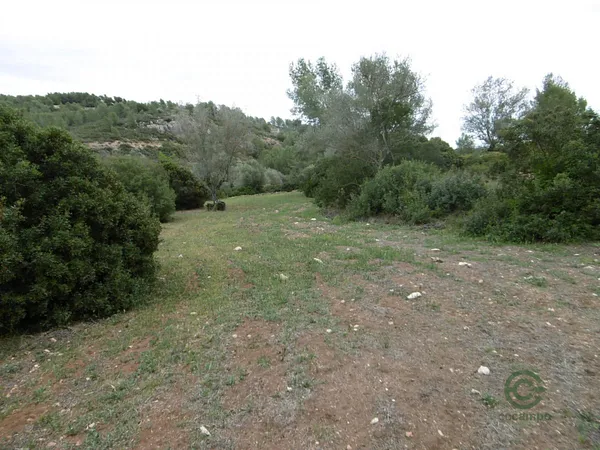 Spot image