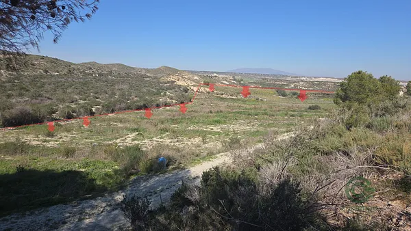 Spot image